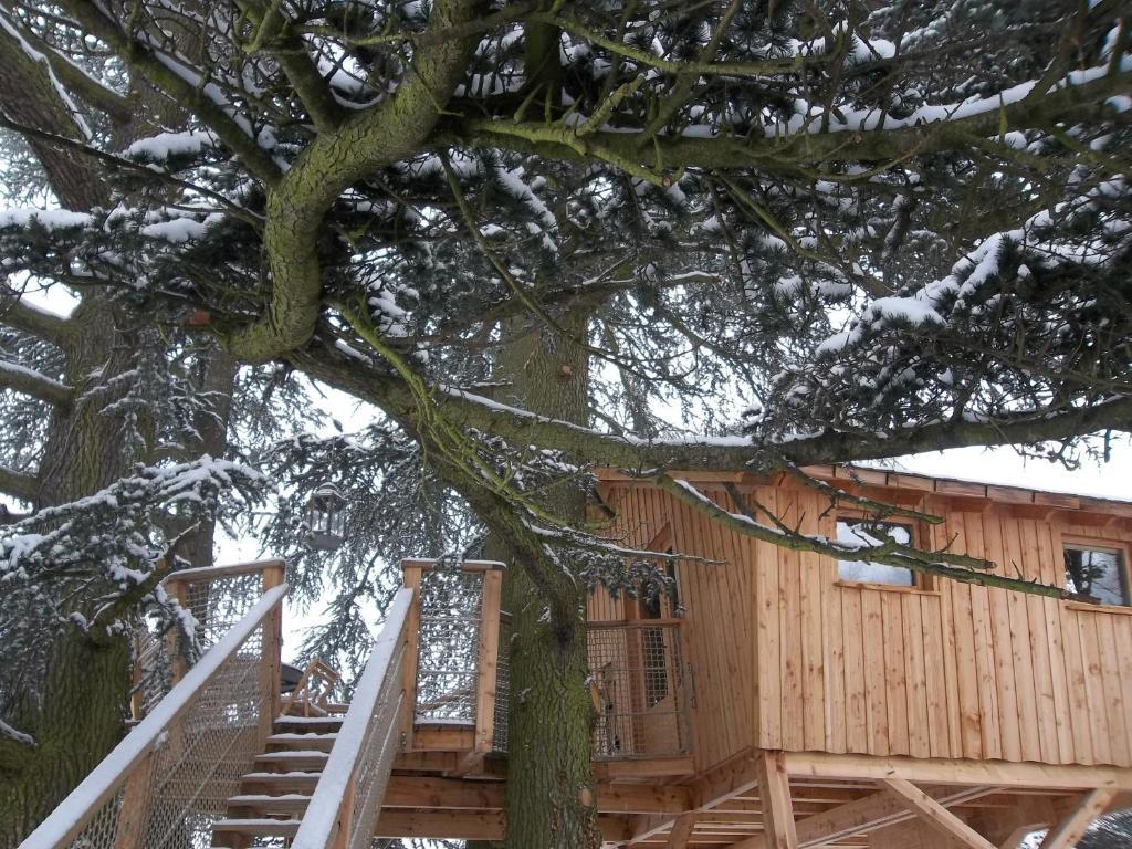 Bed and Breakfast Domaine Des Grands Cedres Cordelle Zimmer foto