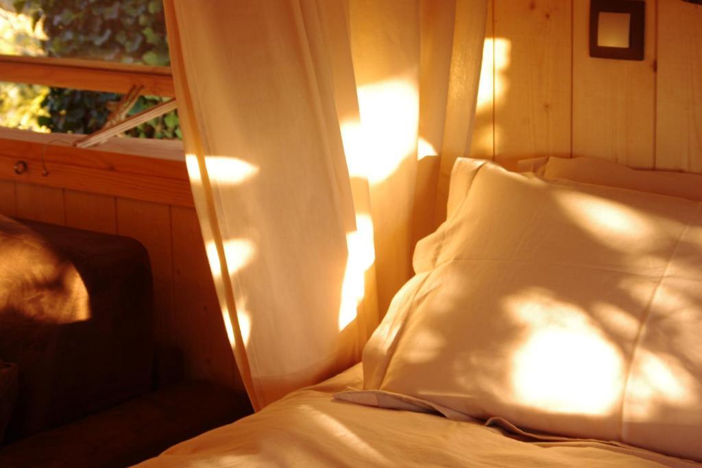 Bed and Breakfast Domaine Des Grands Cedres Cordelle Zimmer foto