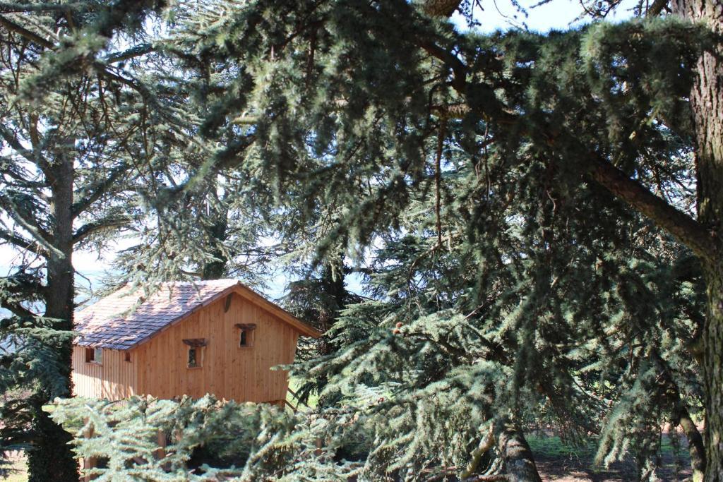 Bed and Breakfast Domaine Des Grands Cedres Cordelle Zimmer foto