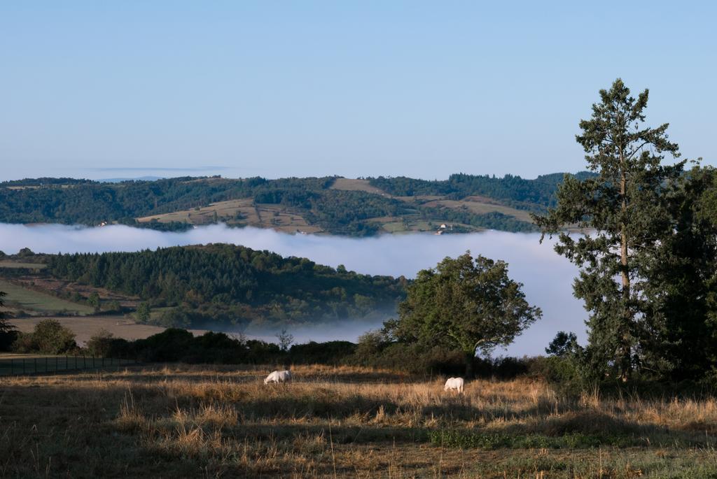 Bed and Breakfast Domaine Des Grands Cedres Cordelle Exterior foto
