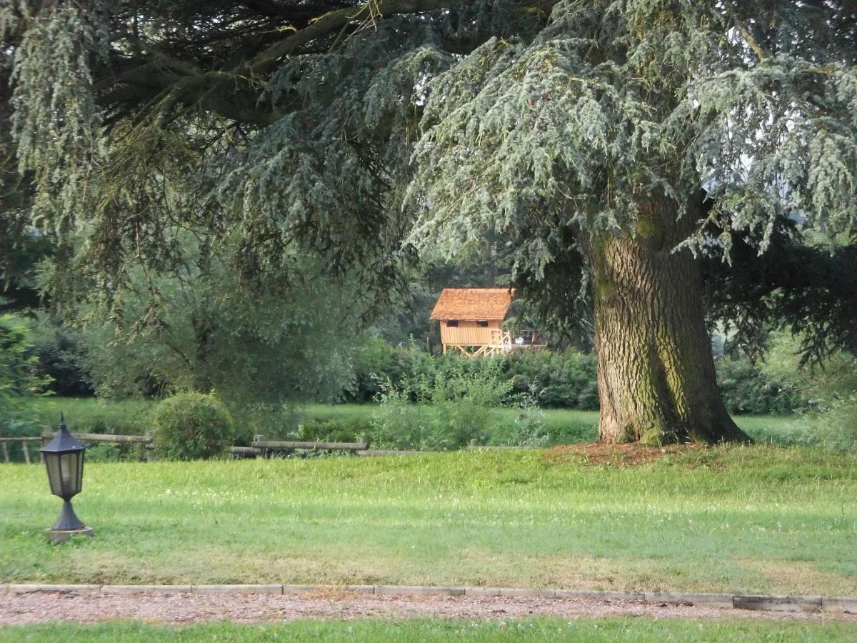 Bed and Breakfast Domaine Des Grands Cedres Cordelle Zimmer foto