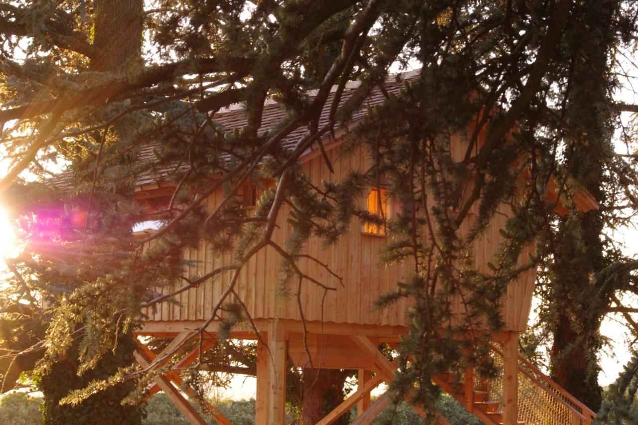 Bed and Breakfast Domaine Des Grands Cedres Cordelle Zimmer foto
